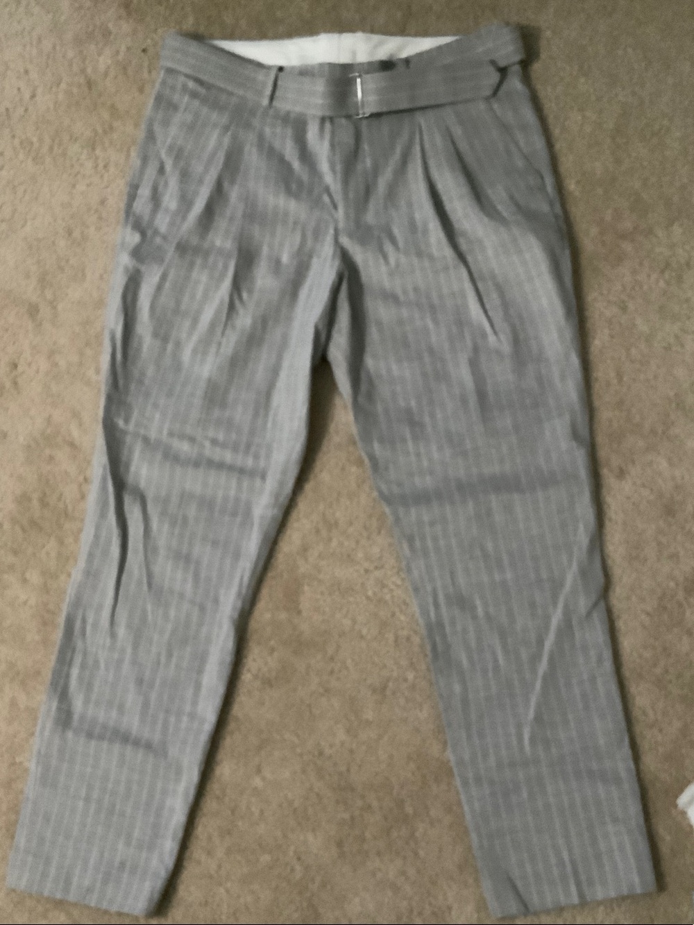Express Gray Pinstriped Pleated Dress Pants